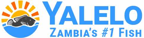 Yalelo Limited